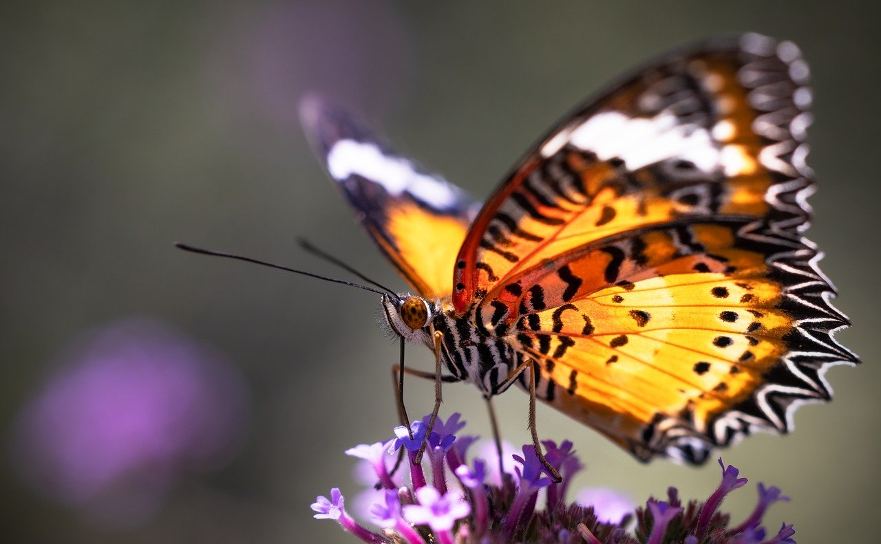 10 Fun Crafts for Celebrating Spring Equinox